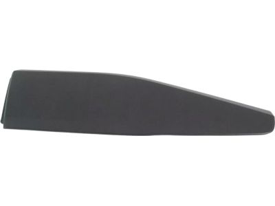 Toyota C-HR Door Moldings - 75742-F4010