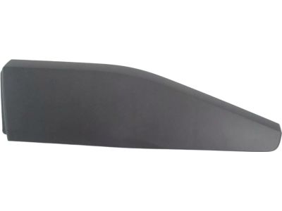 Toyota C-HR Door Moldings - 75742-F4010