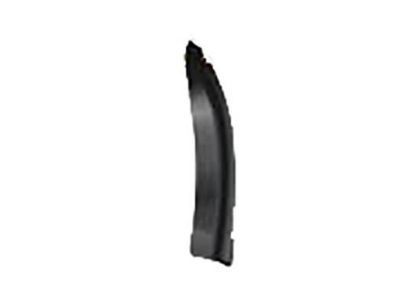 Toyota 75631-04020 MOULDING, Side Panel, Lower RH