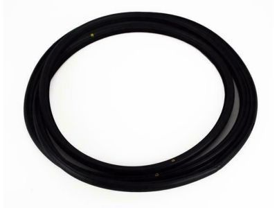 Toyota Camry Weather Strip - 63251-0E010