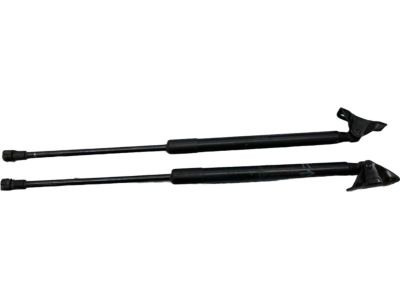 Toyota Yaris Lift Support - 68960-0D011
