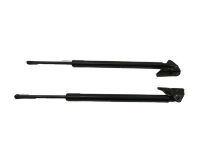 Toyota RAV4 Lift Support - 68950-0R020