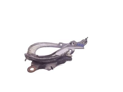 2010 Scion tC Hood - 53301-21040