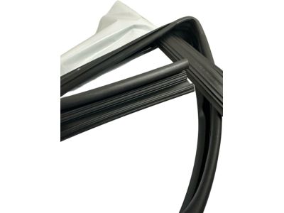 2020 Toyota Tacoma Window Run - 68151-04041