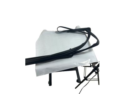 2020 Toyota Tacoma Window Run - 68151-04041