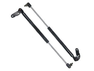 Toyota 4Runner Lift Support - 53440-69055