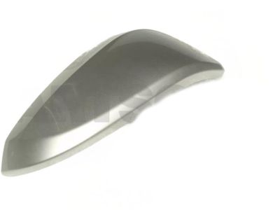 2017 Toyota RAV4 Mirror Cover - 87915-48040-B0