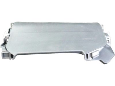 2024 Toyota RAV4 Air Bag - 73900-0R030-C0