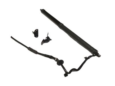 2013 Toyota RAV4 Liftgate Lift Support - 68920-49015