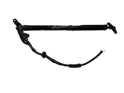 2013 Toyota RAV4 Liftgate Lift Support - 68920-49015