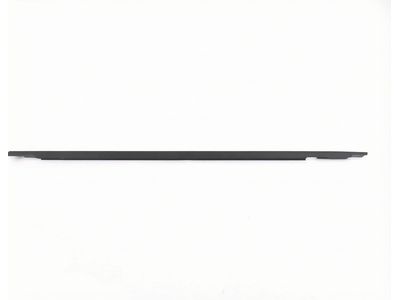 Toyota Door Moldings - 75720-60021