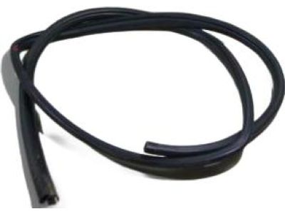 Toyota Venza Weather Strip - 62331-0T011