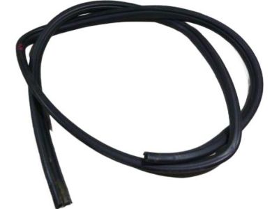 Toyota Venza Weather Strip - 62331-0T011