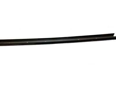 Toyota Sienna Door Moldings - 75763-08010