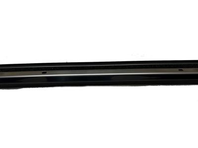 Toyota Sienna Door Moldings - 75763-08010