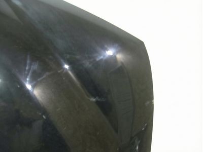 2016 Toyota Sequoia Hood - 53301-0C030