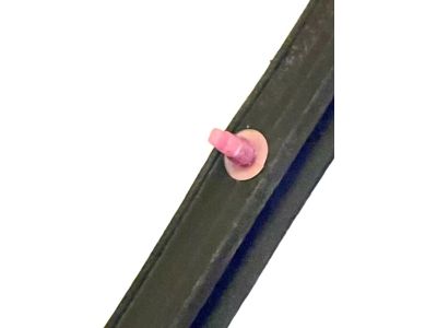 2010 Toyota RAV4 Weather Strip - 67862-0R010