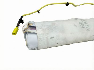 2023 Toyota Sequoia Air Bag - 73910-0C150