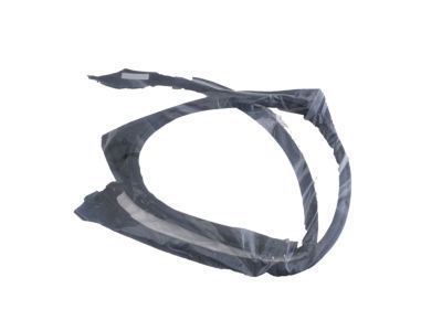 Toyota 63628-17022 Weatherstrip, Removable Roof, LH