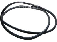 Toyota 62311-42030-B0 Front Door Opening Trim Weatherstrip Right Hand