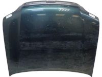 Toyota 53301-0C021 Hood Sub-Assembly