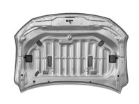 Toyota 53301-07070 Hood Sub-Assembly