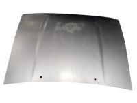 Toyota 53341-89107 Hood Insulator