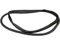 Toyota 62311-42070-B0 Front Door Opening Trim Weatherstrip Right Hand