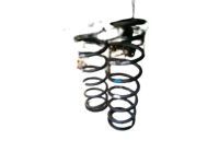 Toyota Land Cruiser Coil Springs - 48131-6A490 Spring, Front Coil, LH