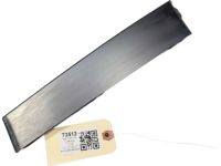 Toyota 75071-F4010 Front Moulding Sub-Assembly Toyota 75071-F4010 Front Moulding Sub-Assembly