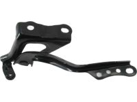 Toyota 53410-42140 Hinge Assy, Hood, RH