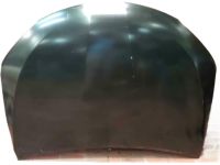 Toyota 53301-06160 Hood Sub-Assembly
