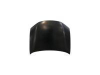 Toyota 53301-06090 Hood Sub-Assembly