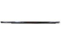 Toyota 75710-AA050 Moulding Assy, Front Door Belt, RH