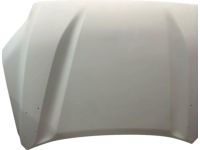 Toyota 53301-0C070 Hood Sub-Assembly