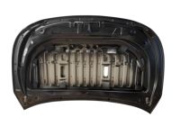 Toyota 53301-0E170 Hood Sub-Assembly