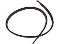 Toyota 62311-52060-B1 Front Door Opening Trim Weatherstrip Right Hand