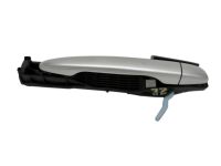 Toyota 69204-06030 Frame Sub-Assy, Rear Door Outside Handle, LH