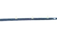 Toyota 75730-32100 Rear Door Belt Moulding Assembly Right Hand