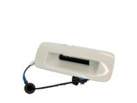Toyota Sequoia Door Handle - 76802-0C010-A0 Back Door Outside Handle