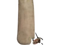 Toyota 74320-28102-E1 Visor Assembly Left Hand Toyota 74320-28102-E1 Visor Assembly Left Hand