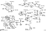 Diagram for 2009 Toyota 4Runner Fuel Injector - 23209-50080