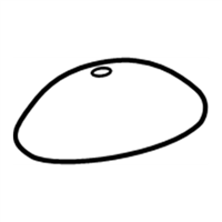 Toyota 48553-06010 CAP, SHOCK ABSORBER