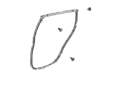 Toyota 67871-0D090 WEATHERSTRIP, Rear Door