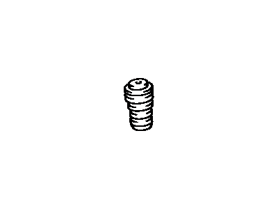 Toyota 48313-60020 Spring, Hollow