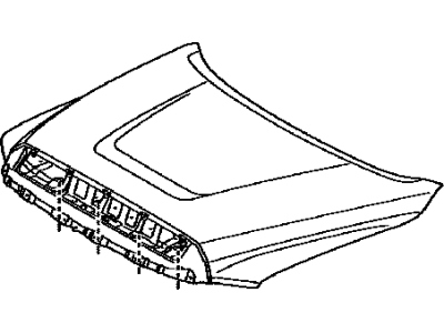 Toyota 53301-0C050 Hood Sub-Assembly