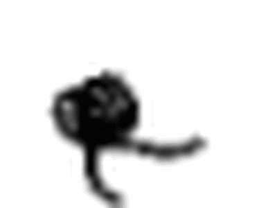 Toyota SU003-03846 Spring, TORSION