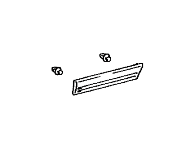 2002 Toyota Land Cruiser Door Moldings - 75742-60160-D0