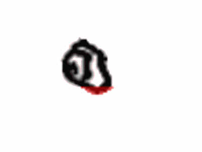 Toyota 67281-12020 Stopper, Back Door, Lower Toyota 67281-12020 Stopper, Back Door, Lower