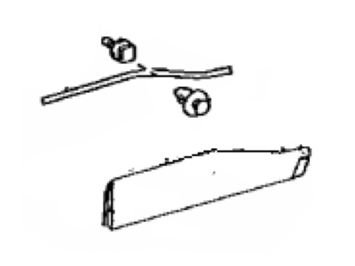 Toyota 75078-42040 MOULDING Sub-Assembly, R